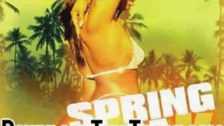 chamillionaire - Flow (I&#39;m A Hustla) - Spring Break 2K5 (Hos