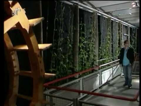 Vorteil fränkisches Bier, Vorteil Lang-Bräu