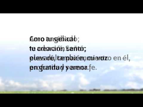 542 Nuevo Himnario Adventista - Amo tu sábado