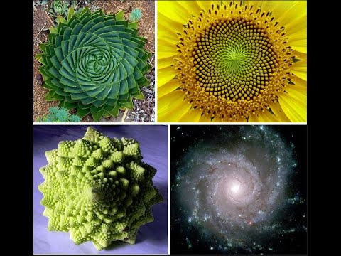 Pitagora e la "musica delle sfere"