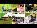 Farm Tour Farm Vlog গোসালা গরু ছাগল নিয়ে বড় খামা