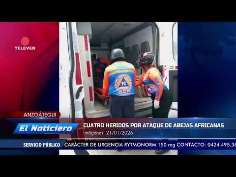 4 heridos por ataque de abejas africanas en Anzoátegui - El Noticiero emisión meridiana 21/01/26