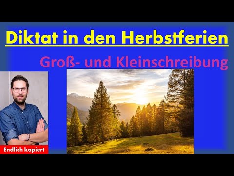 Improve spelling - Dictation - Capitalization