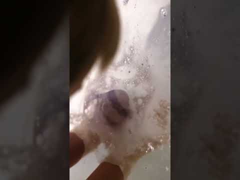 thumbnail for video of Breezy Sneezy Banyo Topu