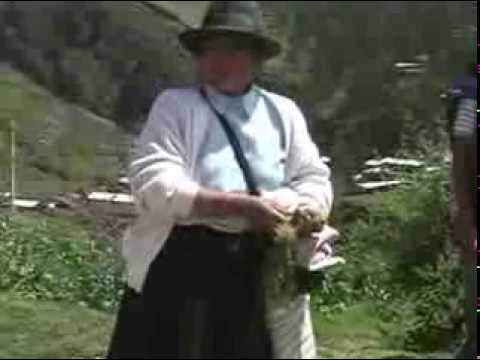Queridos Amigos video
