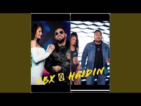 Cbx si Haidin (feat. Haidin) (Creier Dereglat)
