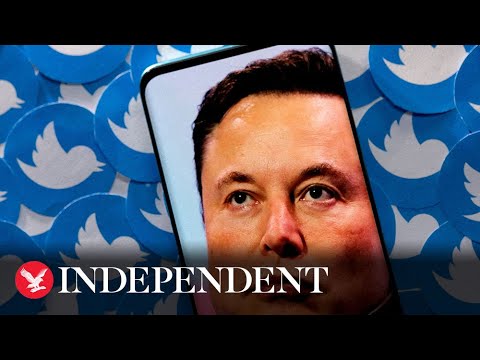 All the Twitter accounts Elon Musk has unbanned, from Trump to Andrew Tate