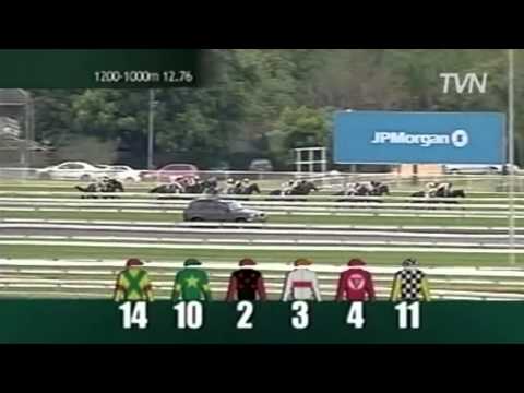 2008 Metropolitan Handicap - Newport