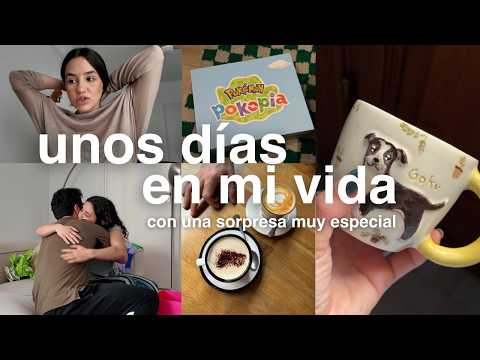 Mi vida en Madrid: rutina, recetas + el regalo ideal para una mascota