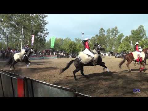 SAN JOSE DE LOS ARROYOS 2026 inicio