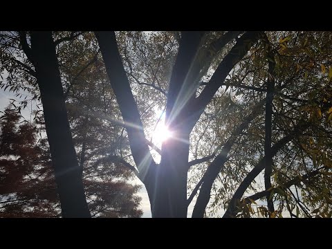 GESPRÄCHE MIT GOTT - Band 3 - Teil 1/9 von N. D. Walsch