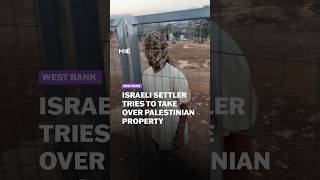 Activist documents Israeli settler attacking Palestinian home