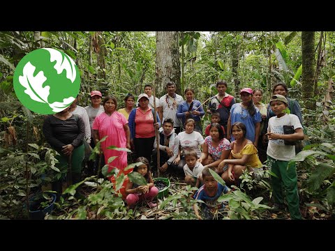 Proteger la cuenca del Amazonas para la naturaleza y las personas