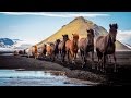 Iceland + Greenland Photography Tour - Chris Bray Photography Iceland + Greenland Photography Tour