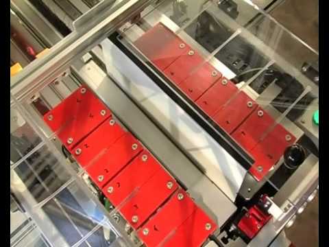 Cielle per occhialeria