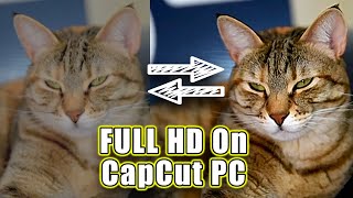 Capcut Pc Tutorial: How To Make Videos Look FULL HD On CapCut PC