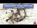 Some weird things come out - Patrick Lee showing at Gallery222 Malvern