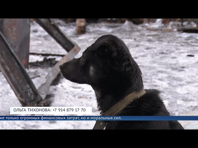 В один момент не стало ничего