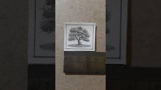 Peepal Tree Miniature Sketch | Realistic Drawing