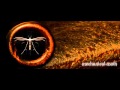 Mechanical Moth - Zealot (HD) 