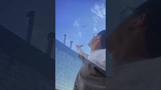 طيارات حربية فوك بيتنة ️ ️