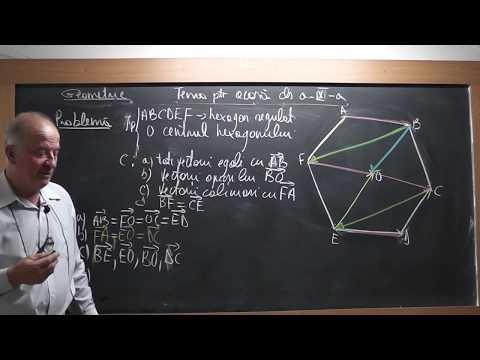 3/3 1565 Clasa 9 - VECTORI pe intelesul vostru: Marime Directie Sens Relatia de echipolenta etc.