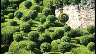 Rosemary Standley &amp; Dom La Nena - All the World Is Green