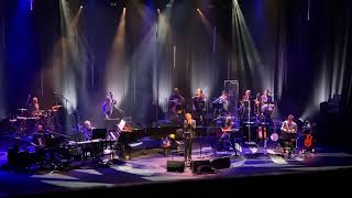 The Divine Comedy - Snowball in Negative (London, Barbican, 3/8/22)