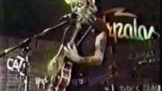 Storm The Embassy-Stray Cats