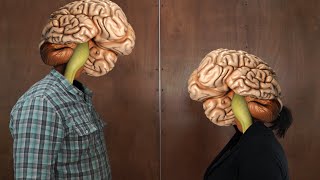 Brain Facts Your Brain Doesn’t Know About