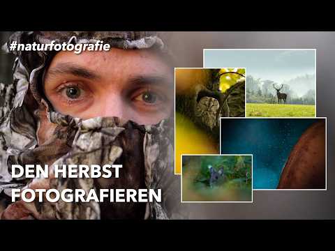 Den HERBST fotografieren | Abenteuer Naturfotografie