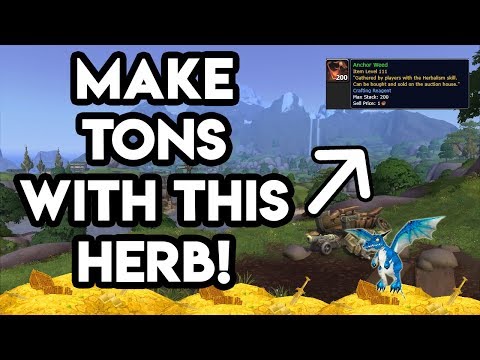 World Of Warcraft The Best Way To Farm Anchor Weed