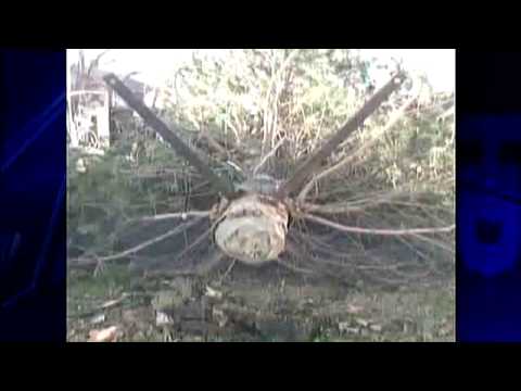 High Winds Blow Trees, Poles Onto Cars, Buildings