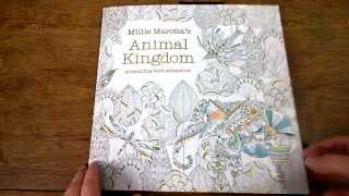 Colouring Book 'Animal Kingdom' Colouring Tips and Walk Through.