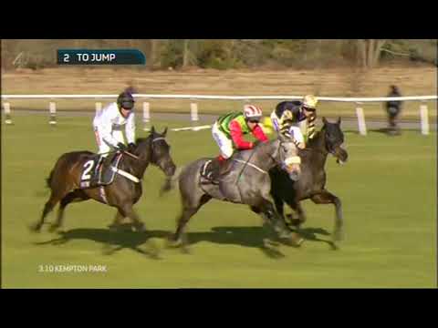 2015 Dovecote Novices' Hurdle