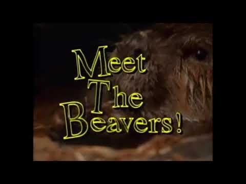 Gwen and Zoey's Adventures of Really Wild Animals (Episode 5; Part 8)