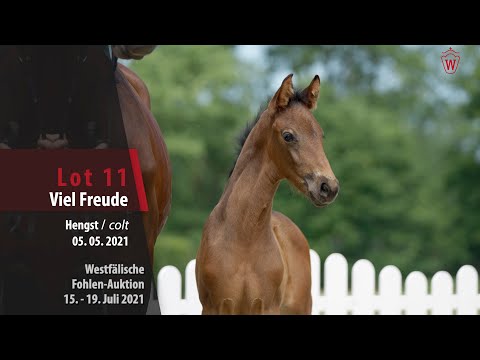 Westfälische Fohlen-Auktion Lot 11 Viel Freude Hengst v. Vitalis - Daily Deal