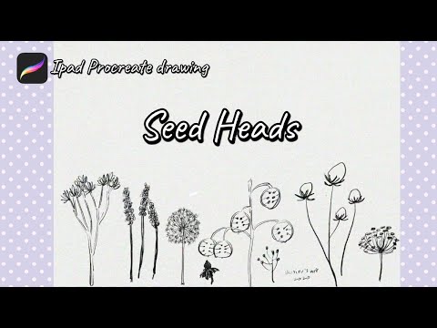 Seed heads procreate drawing speed painting | Ikuriru's art 🎨 #procreateindonesia
