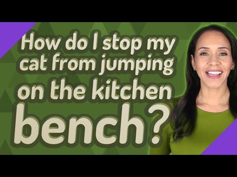 How do I stop my cat from jumping on the kitchen bench?