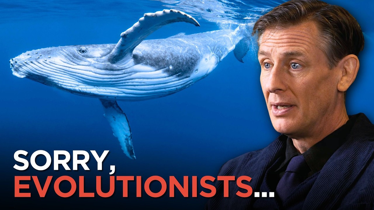 The Single STRONGEST Objection to the Evolutionary Timeline