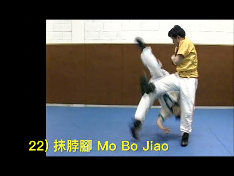 手搏摔技36式 36 throwing techniques