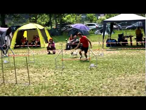 Vivien - Open Jumping