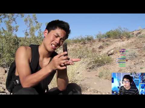 Dude vs Wild w/the chat (Twitch clip)