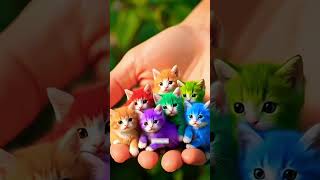 Download lagu Ih gemes gemes gemes🤏🤏❤❤🥰🥰#cutecate#shorthvideo #shorthvideoviral#cute mp3 Download lagu Ih gemes gemes gemes🤏🤏❤❤🥰🥰#cutecate#shorthvideo #shorthvideoviral#cute mp3