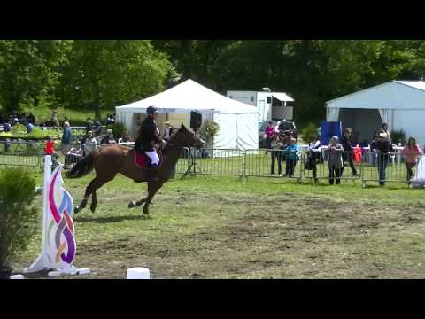 Nicolas M & QUANOS DE FROY Z