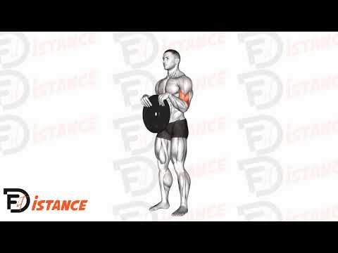 Curl avec un disque - Exercice Curl avec un disque en vidéo Curl avec un disque - Exercice Curl avec un disque en vidéo