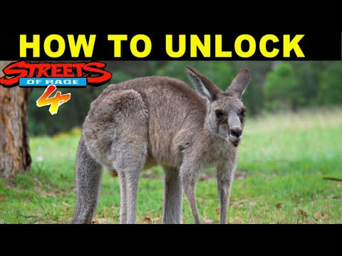 Streets of Rage 4 Mr. X Nightmare How to Unlock Roo Tutorial