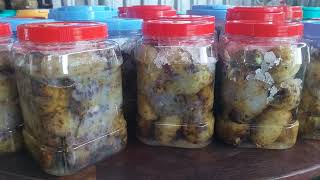 Tuyến giáp giáp uống nhàu mà khỏi