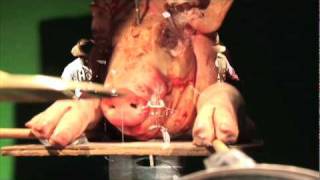 HOG CALLER - HOG CALLER BLUES (HD Version)