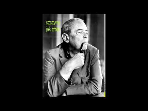 Cichoń - Szczyny i złoto